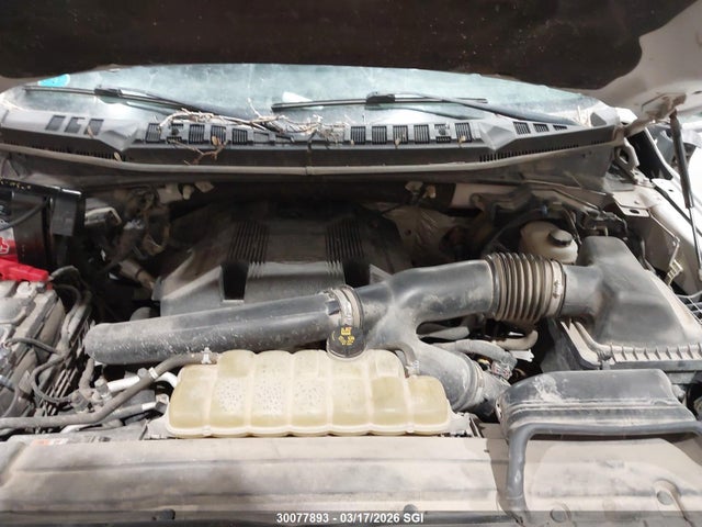 Продаж на аукціоні авто 2019 Ford F150 Supercrew, vin: 1FTEW1E42KFA83789, номер лоту: 30077893