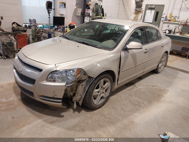 Продажа на аукционе авто 2009 Chevrolet Malibu 1lt, vin: 1G1ZH57B19F172898, номер лота: 30085919