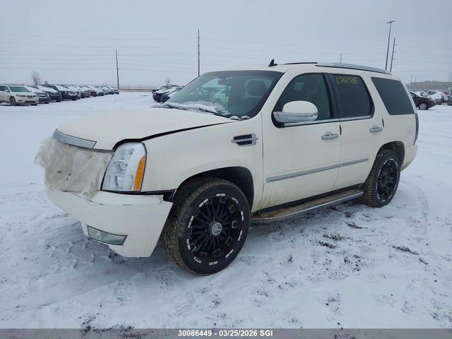 Aukcja sprzedaży 2010 Cadillac Escalade Luxury, vin: 1GYUKBEFXAR116933, numer aukcji: 30086449
