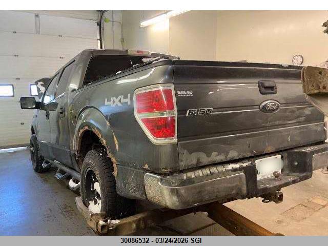Продаж на аукціоні авто 2010 Ford F150 Supercrew, vin: 1FTEW1E8XAFD81380, номер лоту: 30086532