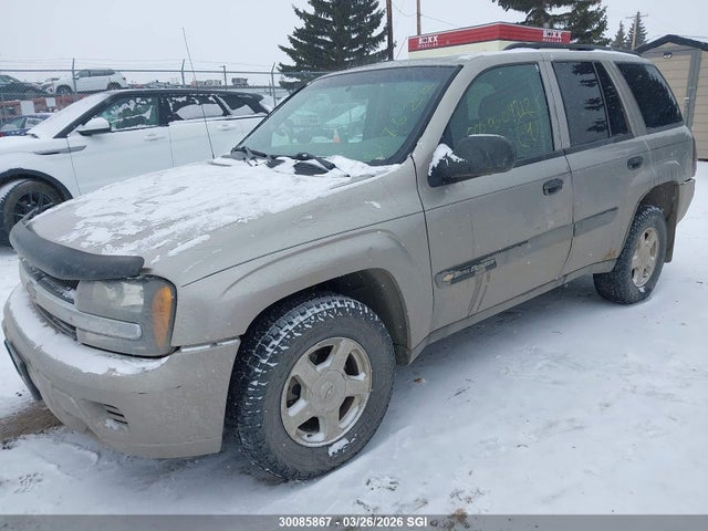Продаж на аукціоні авто 2003 Chevrolet Trailblazer, vin: 1GNDT13S832317620, номер лоту: 30085867