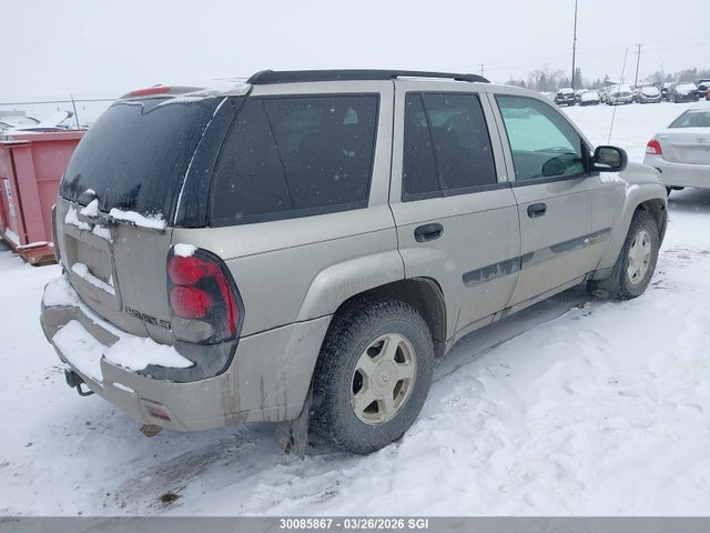 Продаж на аукціоні авто 2003 Chevrolet Trailblazer, vin: 1GNDT13S832317620, номер лоту: 30085867