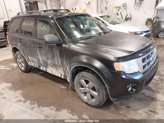 Продаж на аукціоні авто 2010 Ford Escape Xlt, vin: 1FMCU9D7XAKB73216, номер лоту: 30085603