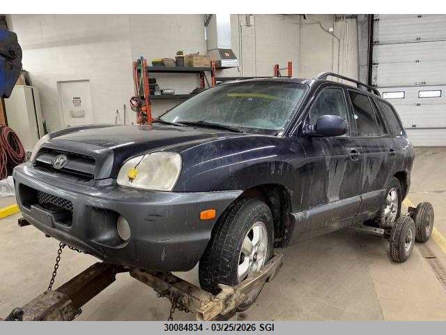 Продажа на аукционе авто 2005 Hyundai Santa Fe, vin: KM8SB12B95U991346, номер лота: 30084834