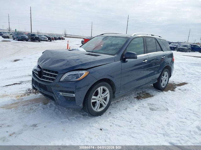 30086674 :رقم المزاد ، 4JGDA2EB6DA242226 vin ، 2013 Mercedes-benz Ml 350 Bluetec مزاد بيع