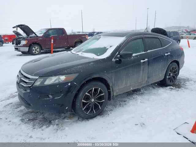 2010 Honda Accord Crosstour Exl მანქანა იყიდება აუქციონზე, vin: 5J6TF2H59AL802077, აუქციონის ნომერი: 30086680