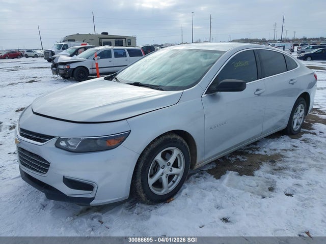 1G1ZC5STXHF253038 Chevrolet MALIBU LS