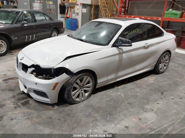 2018 Bmw 230xi მანქანა იყიდება აუქციონზე, vin: WBA2J3C51JVD48876, აუქციონის ნომერი: 30086782