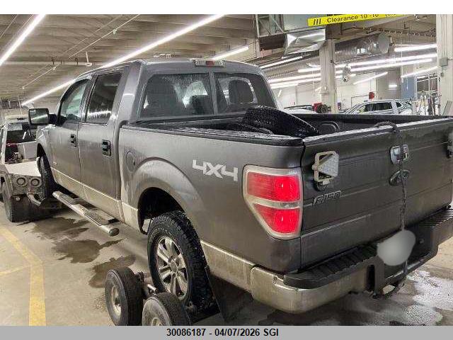 1FTFW1ET9EKF83911 Ford F-150 Xlt