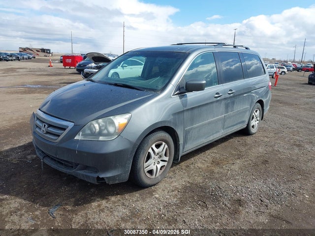 Продаж на аукціоні авто 2007 Honda Odyssey Exl, vin: 5FNRL38637B510315, номер лоту: 30087350