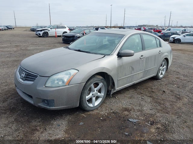 30087690 :رقم المزاد ، 1N4BA41E87C810434 vin ، 2007 Nissan Maxima Se/sl مزاد بيع