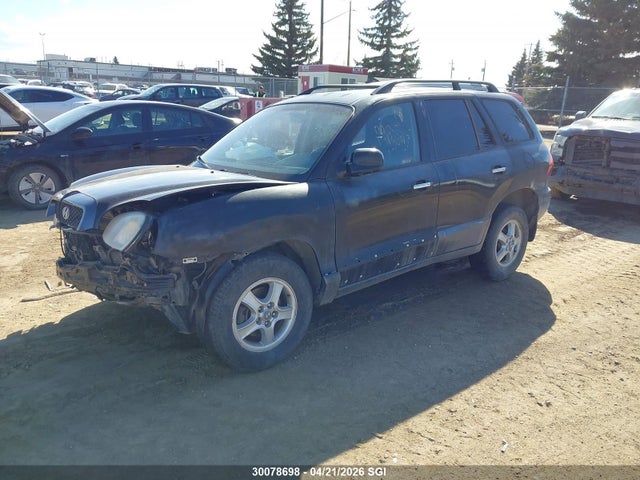 Продаж на аукціоні авто 2004 Hyundai Santa Fe, vin: KM8SB73E54U741659, номер лоту: 30078698
