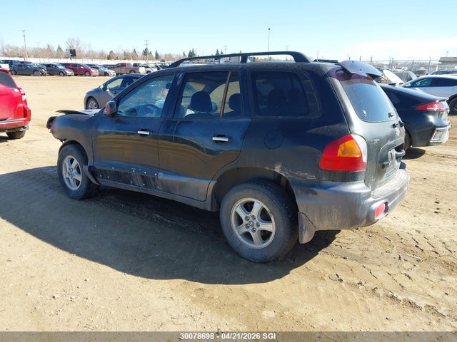 Продаж на аукціоні авто 2004 Hyundai Santa Fe, vin: KM8SB73E54U741659, номер лоту: 30078698