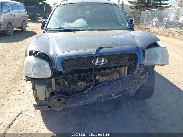 Продаж на аукціоні авто 2004 Hyundai Santa Fe, vin: KM8SB73E54U741659, номер лоту: 30078698