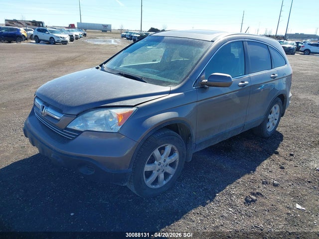 Aukcja sprzedaży 2009 Honda Cr-v Exl, vin: 5J6RE487X9L805785, numer aukcji: 30088131