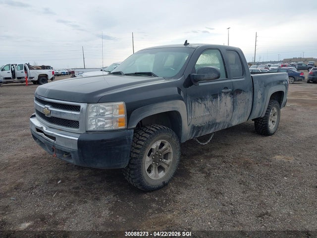 2009 Chevrolet Silverado K1500 მანქანა იყიდება აუქციონზე, vin: 1GCEK19J29Z268090, აუქციონის ნომერი: 30088273