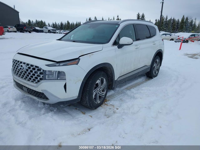 Продаж на аукціоні авто 2021 Hyundai Santa Fe Sel, vin: 5NMS3DAJ6MH355212, номер лоту: 30086107