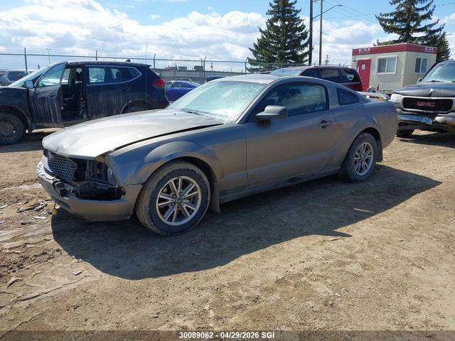 2005 Ford Mustang მანქანა იყიდება აუქციონზე, vin: 1ZVFT80NX55126871, აუქციონის ნომერი: 30089062