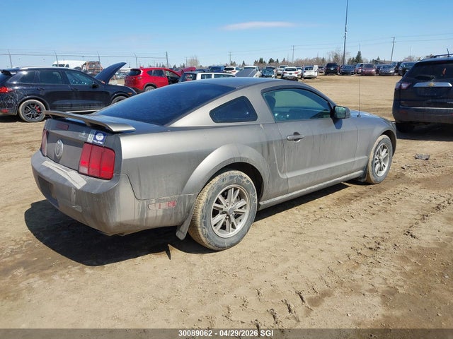 2005 Ford Mustang მანქანა იყიდება აუქციონზე, vin: 1ZVFT80NX55126871, აუქციონის ნომერი: 30089062