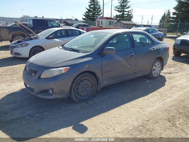 30089473 :رقم المزاد ، 2T1BU40E89C007569 vin ، 2009 Toyota Corolla S/le/xle مزاد بيع
