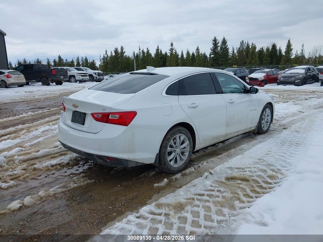1G1ZD5ST4PF146496 Chevrolet MALIBU LT