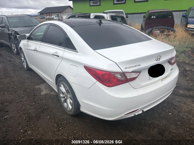 2013 Hyundai Sonata Se/limited მანქანა იყიდება აუქციონზე, vin: 5NPEC4AC7DH505913, აუქციონის ნომერი: 30091326