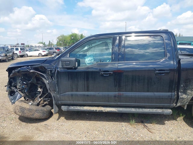 Ford F150 Xlt 2024 1FTFW3L84RKD90274 Image 13