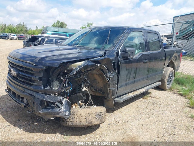 Ford F150 Xlt 2024 1FTFW3L84RKD90274 Image 2