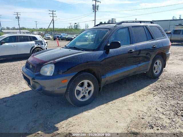 30091399 :رقم المزاد ، KM8SB73D73U564036 vin ، 2003 Hyundai Santa Fe مزاد بيع