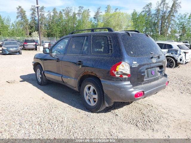 30091399 :رقم المزاد ، KM8SB73D73U564036 vin ، 2003 Hyundai Santa Fe مزاد بيع