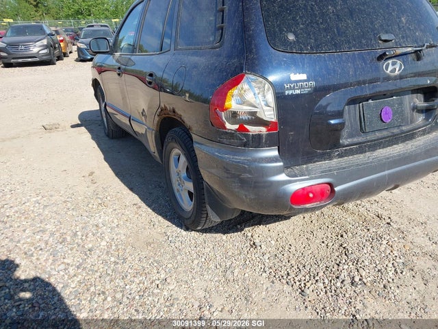 30091399 :رقم المزاد ، KM8SB73D73U564036 vin ، 2003 Hyundai Santa Fe مزاد بيع