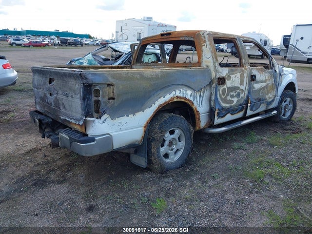 30091617 :رقم المزاد ، 1FTEW1E8XAFA00417 vin ، 2010 Ford F150 Supercrew مزاد بيع