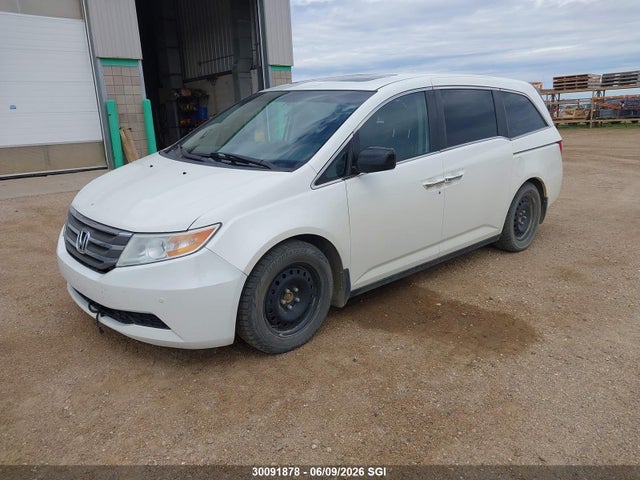 Продаж на аукціоні авто 2013 Honda Odyssey Exl, vin: 5FNRL5H67DB503892, номер лоту: 30091878