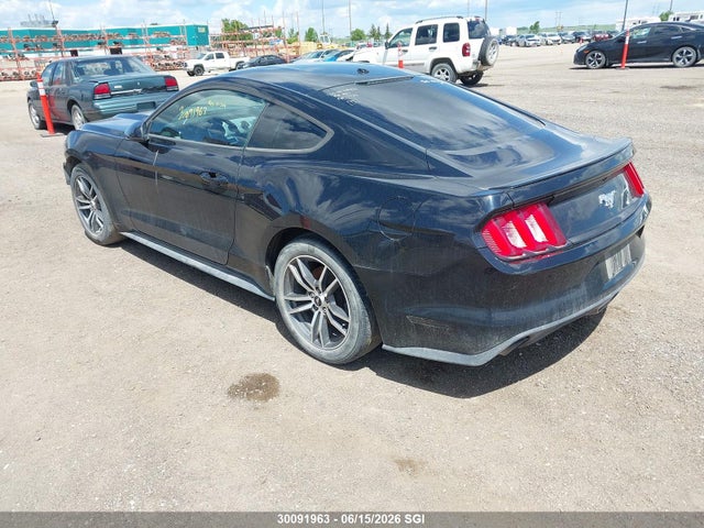Ford Mustang 2016 1FA6P8TH1G5308416 Image 3