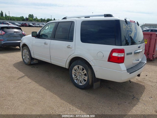 Продаж на аукціоні авто 2009 Ford Expedition Limited, vin: 1FMFU20559LA06745, номер лоту: 30092343