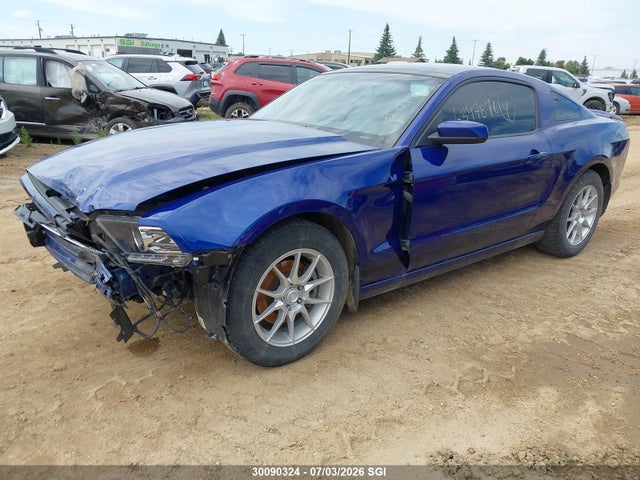 30090324 :رقم المزاد ، 1ZVBP8AM9D5212017 vin ، 2013 Ford Mustang مزاد بيع