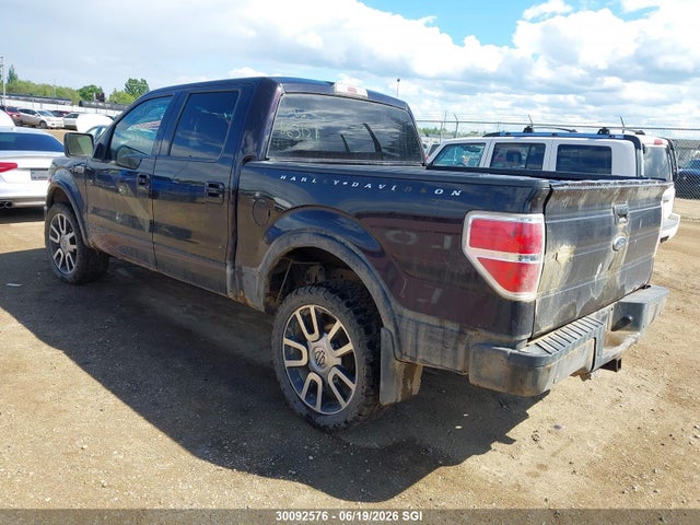 Aukcja sprzedaży 2010 Ford F150 Supercrew, vin: 1FTFW1EVXAFB63157, numer aukcji: 30092576