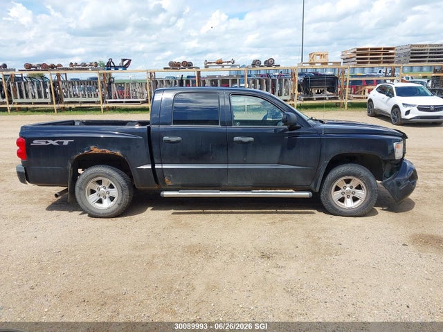 2008 Dodge Dakota Sxt მანქანა იყიდება აუქციონზე, vin: 1D7HW38K98S556791, აუქციონის ნომერი: 30089993