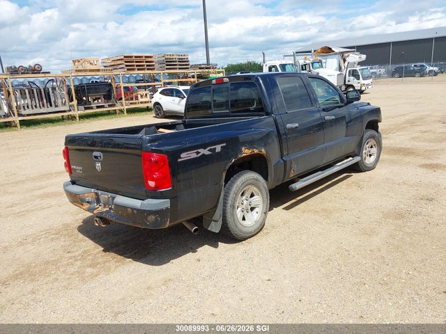 2008 Dodge Dakota Sxt მანქანა იყიდება აუქციონზე, vin: 1D7HW38K98S556791, აუქციონის ნომერი: 30089993