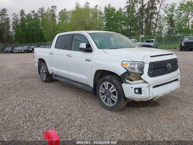 Toyota Tundra Crewmax 1794/crewmax Platinum 2021 5TFAY5F12MX968284 zdjęcie główne
