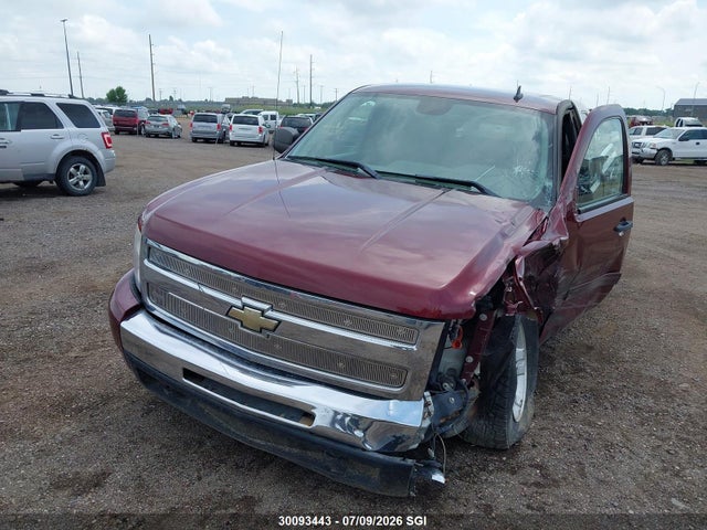 Aukcja sprzedaży 2009 Chevrolet Silverado K1500, vin: 1GCEK19079Z129676, numer aukcji: 30093443