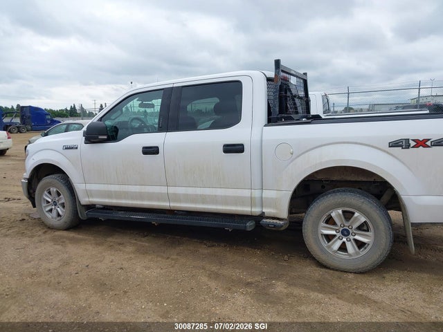 Продаж на аукціоні авто 2019 Ford F150 Supercrew, vin: 1FTEW1EP1KKE25637, номер лоту: 30087285