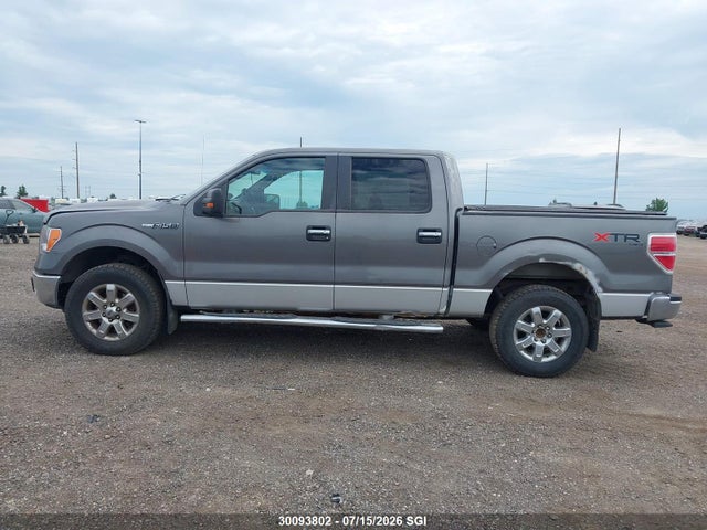2013 Ford F150 Supercrew მანქანა იყიდება აუქციონზე, vin: 1FTFW1EF4DFA96276, აუქციონის ნომერი: 30093802