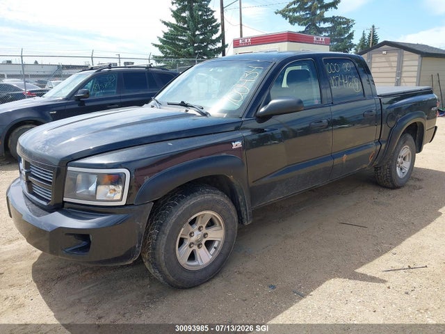 Продаж на аукціоні авто 2009 Dodge Dakota Sxt, vin: 1D7HW38P99S700434, номер лоту: 30093985
