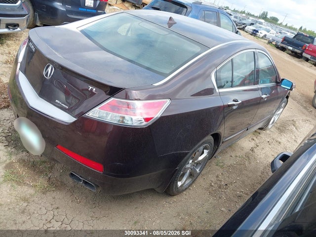 Продаж на аукціоні авто 2009 Acura Tl, vin: 19UUA96589A801788, номер лоту: 30093341