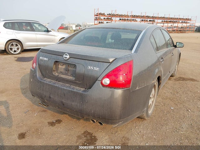 30095109 :رقم المزاد ، 1N4BA41E74C916272 vin ، 2004 Nissan Maxima Se/sl مزاد بيع