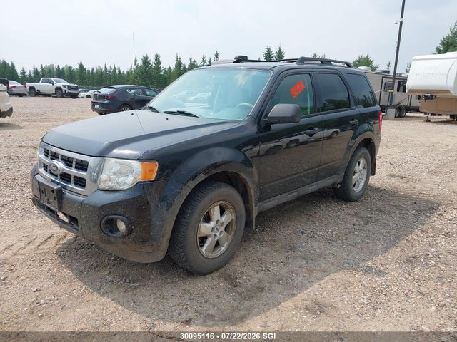 Продаж на аукціоні авто 2011 Ford Escape Xlt, vin: 1FMCU9DG2BKA77291, номер лоту: 30095116