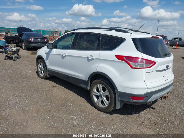 Ford ESCAPE SE 2014 1FMCU9G9XEUA95480 Image 3
