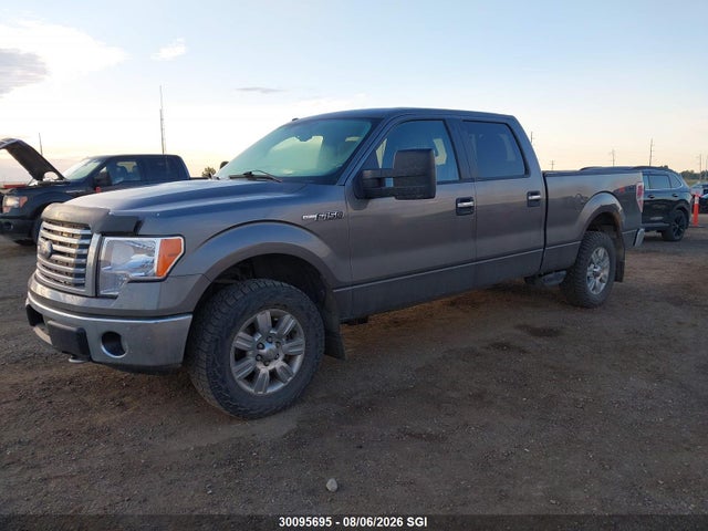 30095695 :رقم المزاد ، 1FTFW1EVXAFA46954 vin ، 2010 Ford F150 Supercrew مزاد بيع