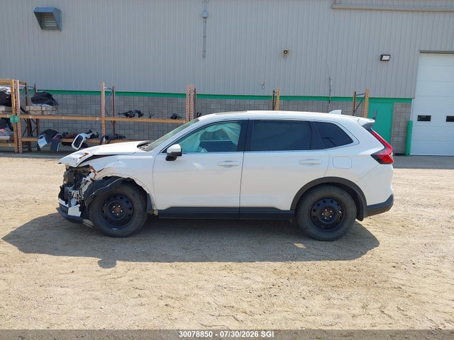 2HKRS4H70RH109388 Honda CR-V EXL